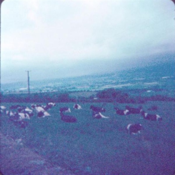 Ireland 1977 121.jpg